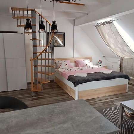 Pension Donaublick Grein 2 In Stifterstrasse 19A Ngoại thất bức ảnh