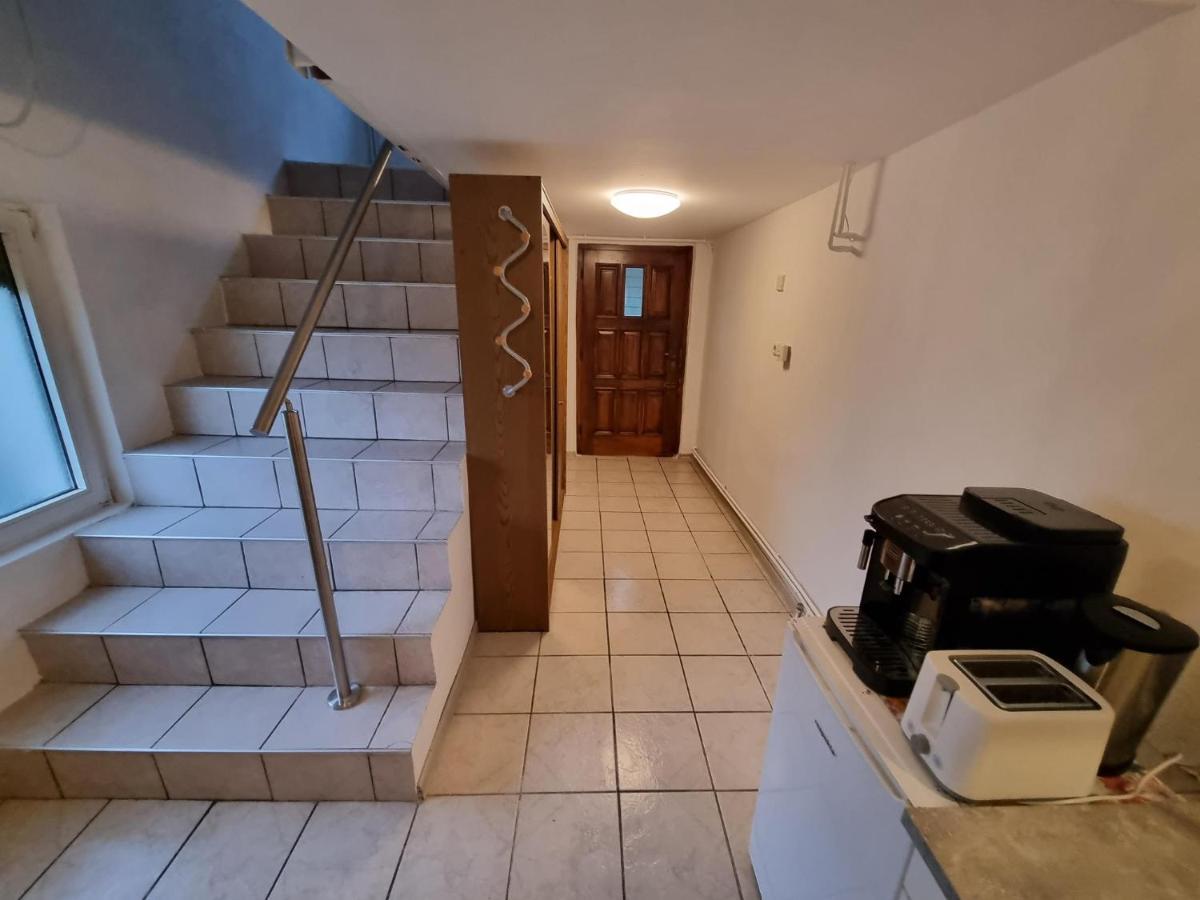 Pension Donaublick Grein 2 In Stifterstrasse 19A Ngoại thất bức ảnh