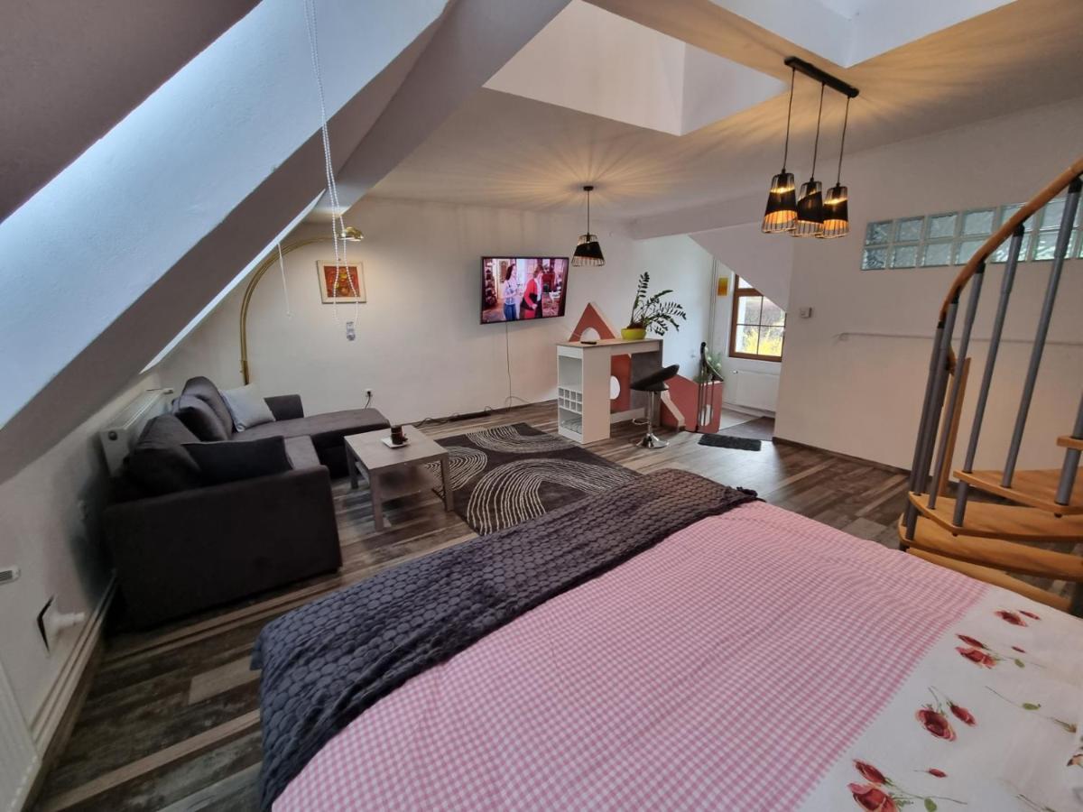 Pension Donaublick Grein 2 In Stifterstrasse 19A Ngoại thất bức ảnh