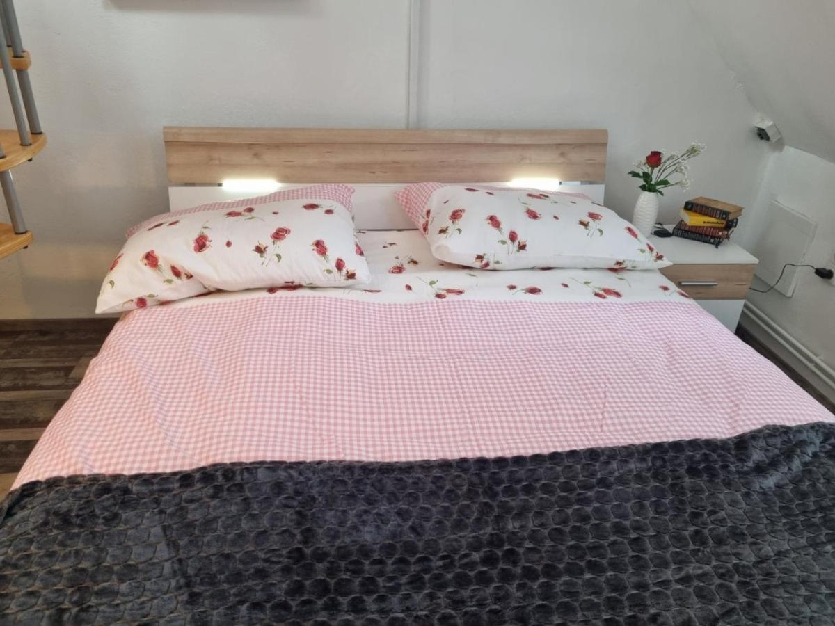 Pension Donaublick Grein 2 In Stifterstrasse 19A Ngoại thất bức ảnh