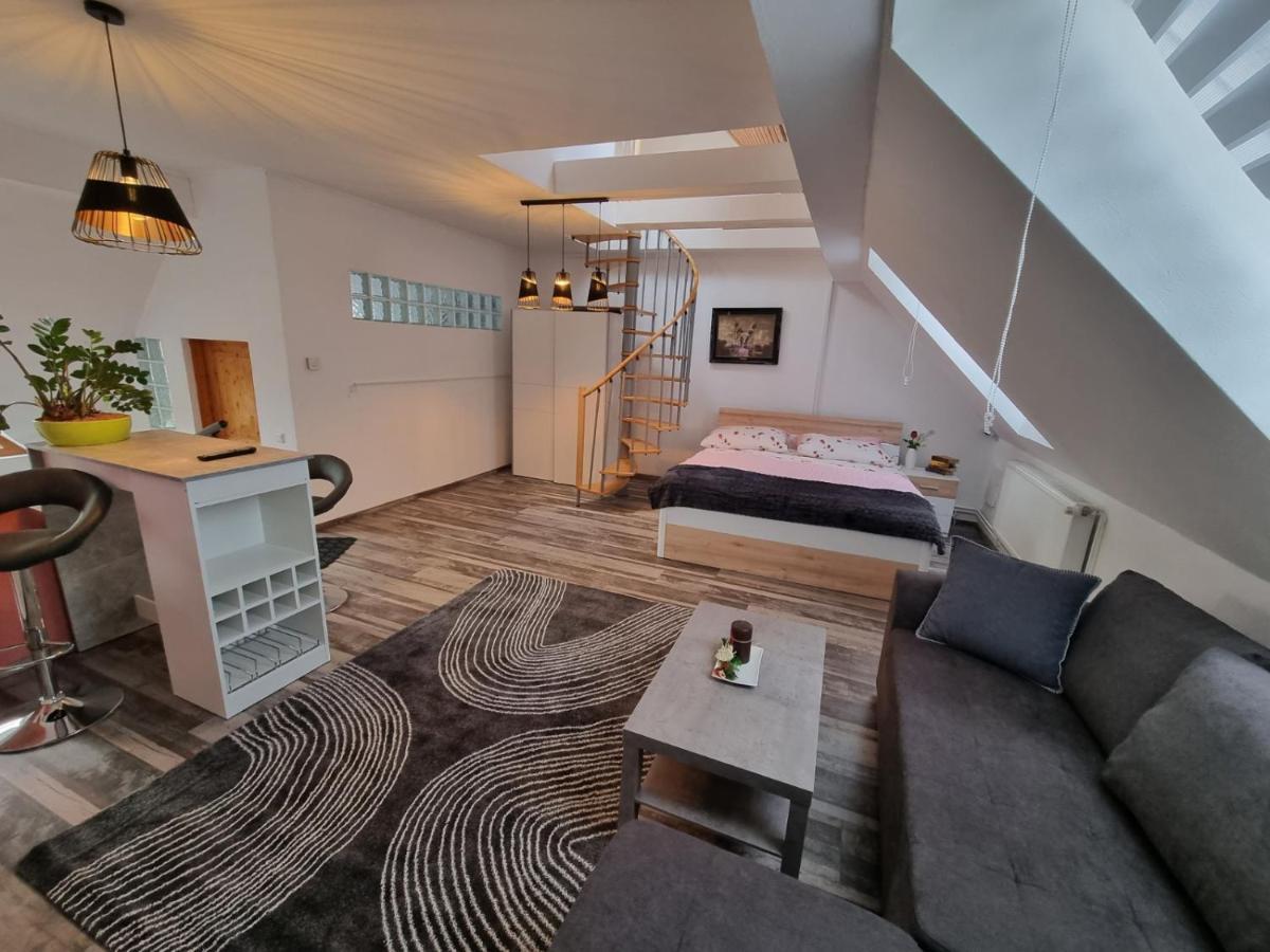 Pension Donaublick Grein 2 In Stifterstrasse 19A Ngoại thất bức ảnh