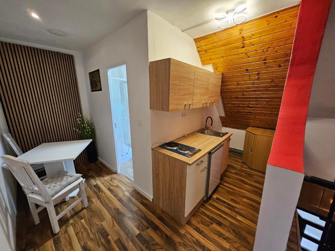Pension Donaublick Grein 2 In Stifterstrasse 19A Ngoại thất bức ảnh