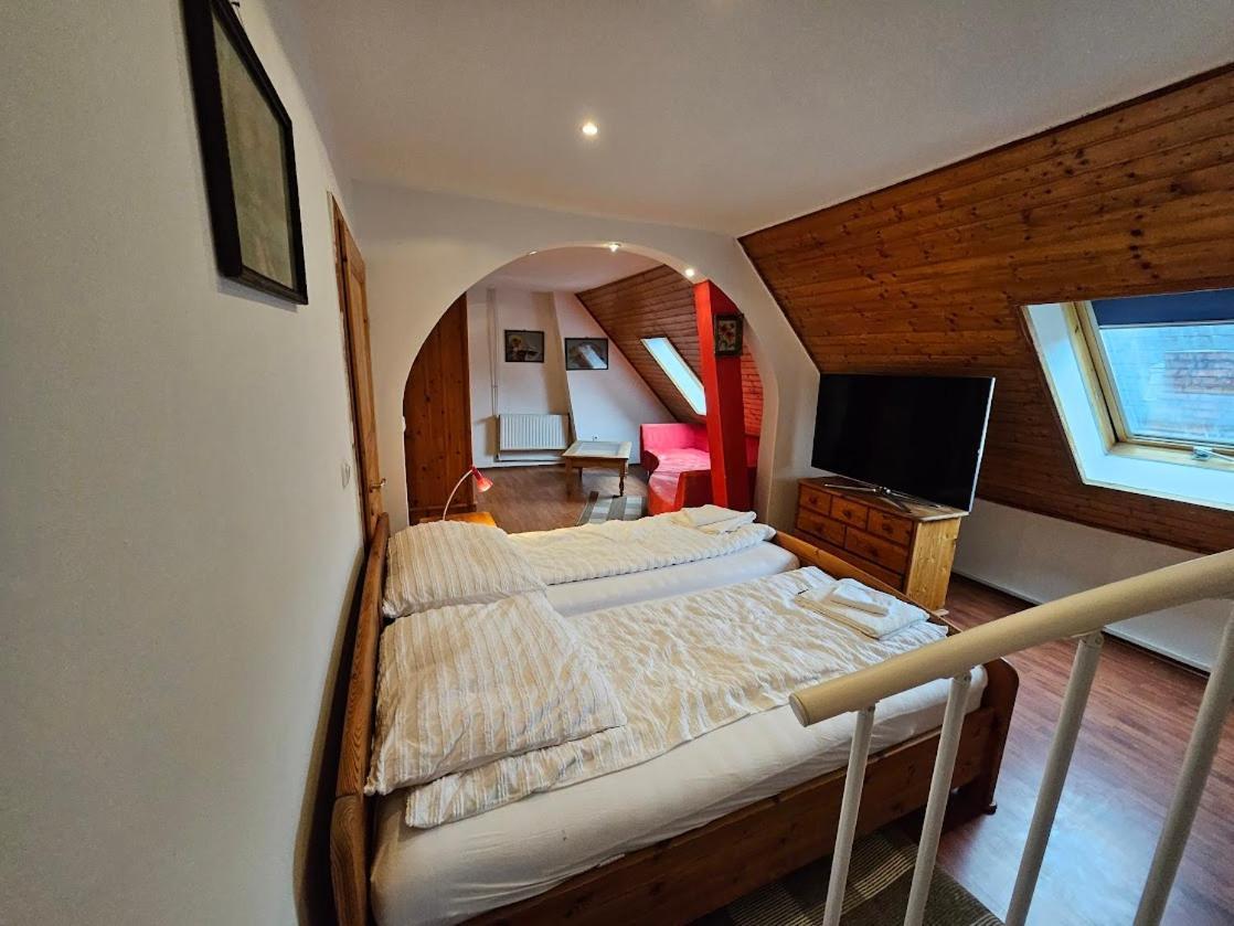 Pension Donaublick Grein 2 In Stifterstrasse 19A Ngoại thất bức ảnh